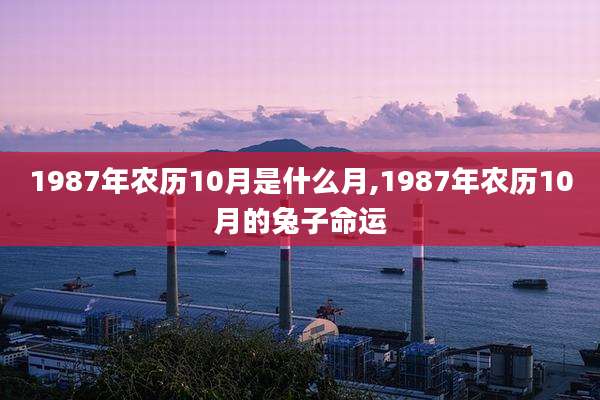 1987年农历10月是什么月,1987年农历10月的兔子命运