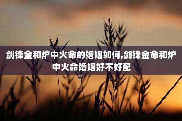 剑锋金和炉中火命的婚姻如何,剑锋金命和炉中火命婚姻好不好配