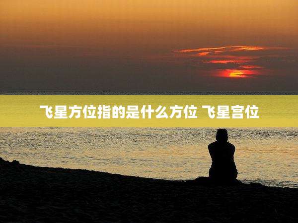 飞星方位指的是什么方位 飞星宫位