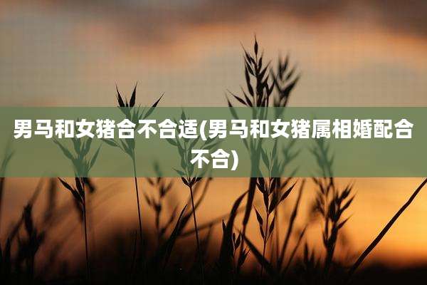 男马和女猪合不合适(男马和女猪属相婚配合不合)
