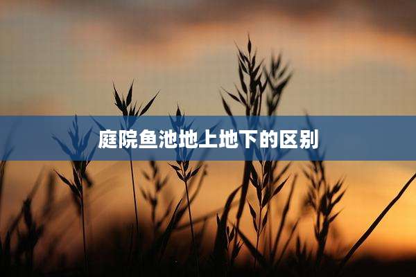 庭院鱼池地上地下的区别