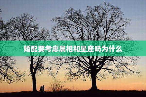 婚配要考虑属相和星座吗为什么