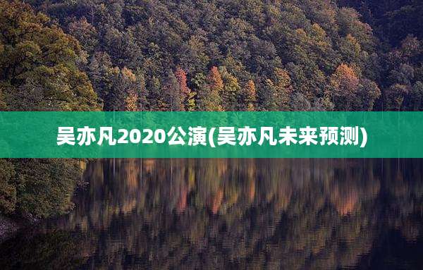 吴亦凡2020公演(吴亦凡未来预测)