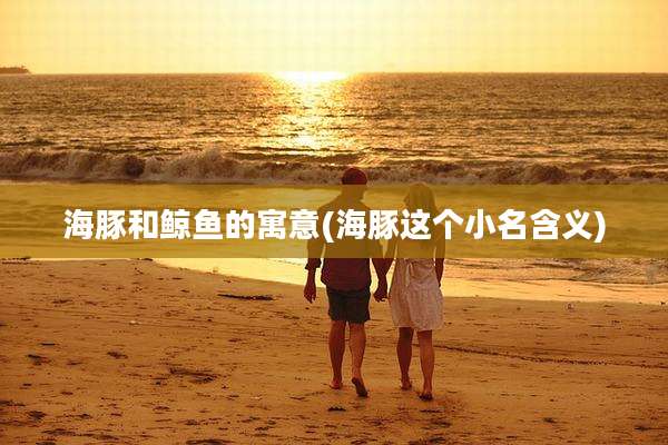 海豚和鲸鱼的寓意(海豚这个小名含义)
