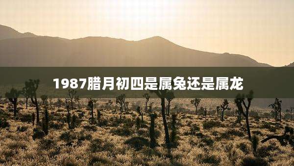 1987腊月初四是属兔还是属龙