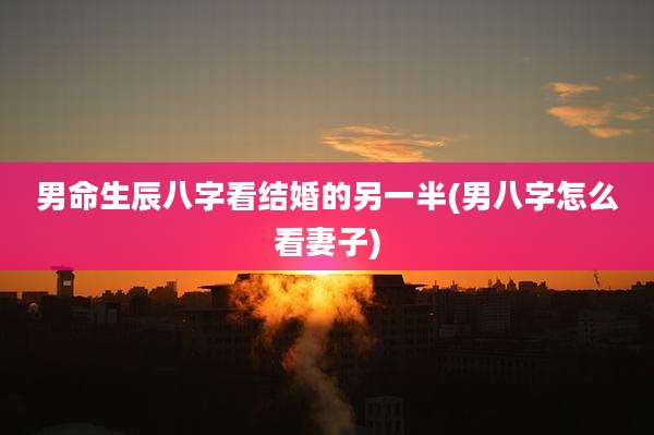 男命生辰八字看结婚的另一半(男八字怎么看妻子)