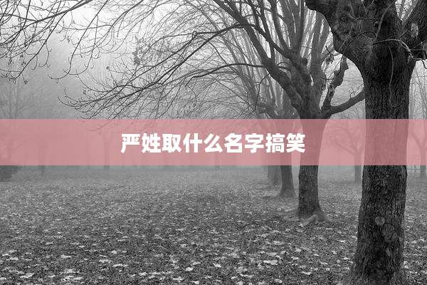 严姓取什么名字搞笑