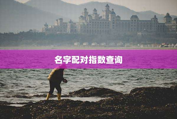 名字配对指数查询