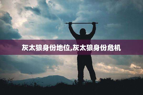 灰太狼身份地位,灰太狼身份危机
