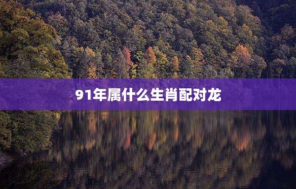 91年属什么生肖配对龙