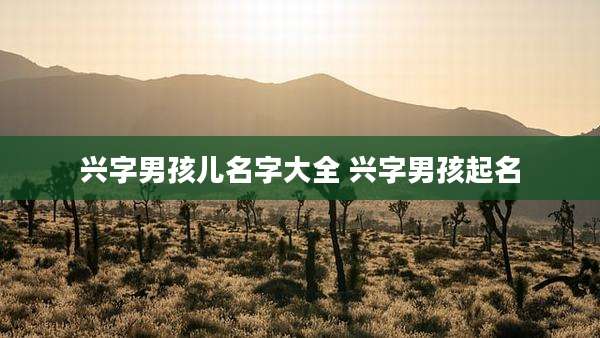 兴字男孩儿名字大全 兴字男孩起名