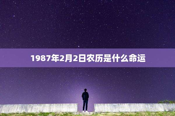 1987年2月2日农历是什么命运