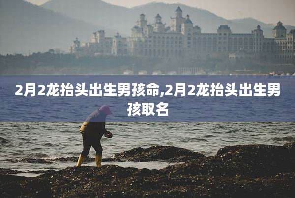 2月2龙抬头出生男孩命,2月2龙抬头出生男孩取名