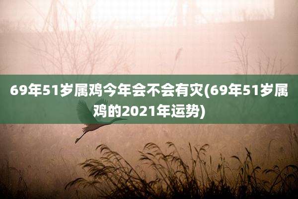 69年51岁属鸡今年会不会有灾(69年51岁属鸡的2021年运势)