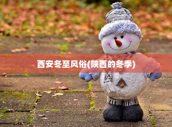 西安冬至风俗(陕西的冬季)