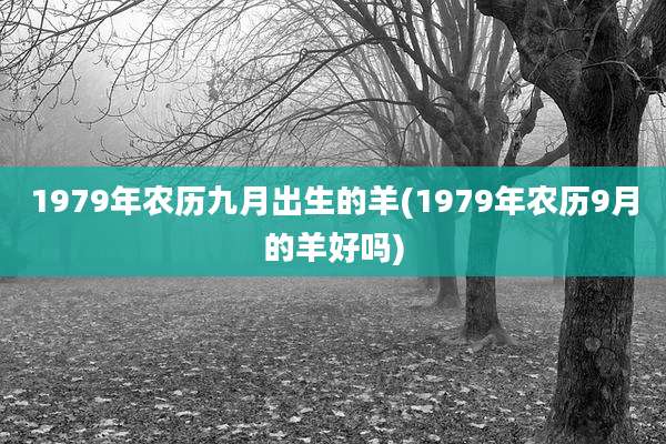1979年农历九月出生的羊(1979年农历9月的羊好吗)