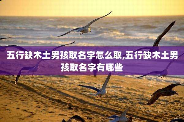 五行缺木土男孩取名字怎么取,五行缺木土男孩取名字有哪些