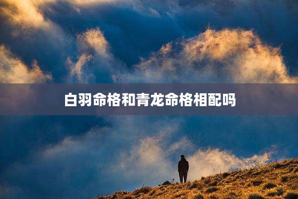白羽命格和青龙命格相配吗