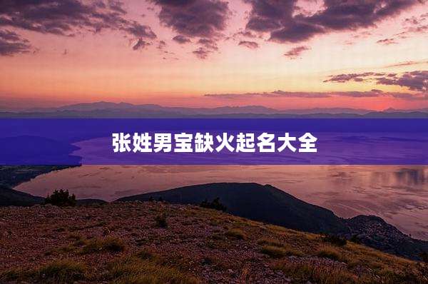 张姓男宝缺火起名大全