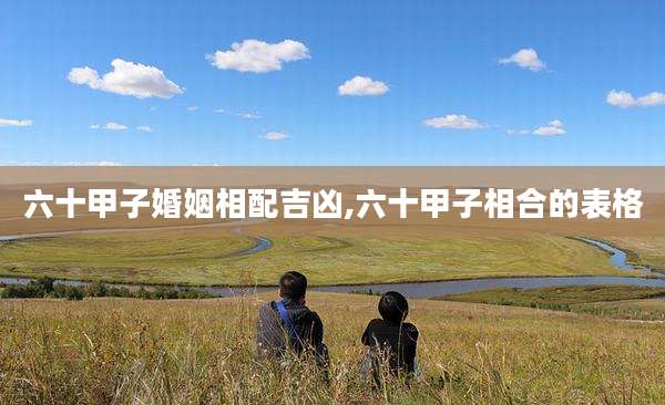 六十甲子婚姻相配吉凶,六十甲子相合的表格