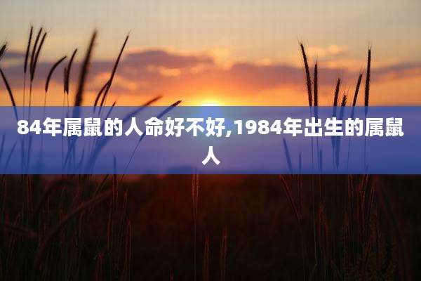 84年属鼠的人命好不好,1984年出生的属鼠人