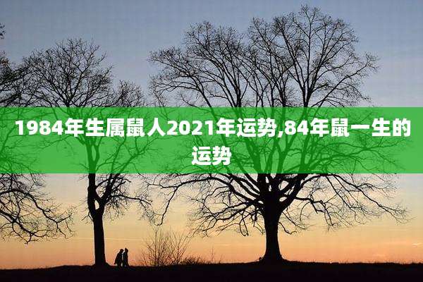 1984年生属鼠人2021年运势,84年鼠一生的运势