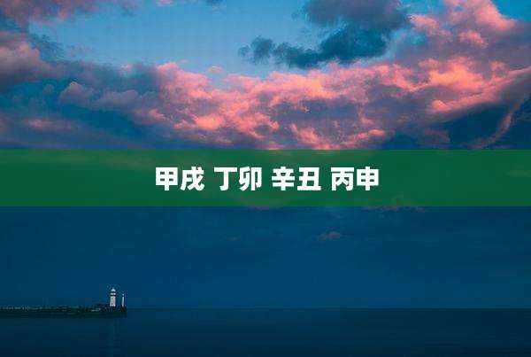 甲戌 丁卯 辛丑 丙申