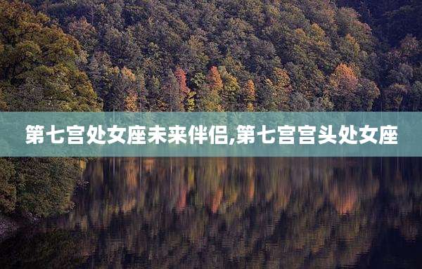 第七宫处女座未来伴侣,第七宫宫头处女座