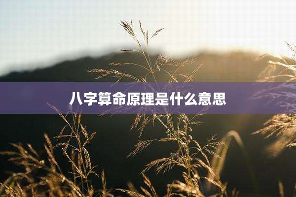 八字算命原理是什么意思