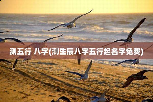 测五行 八字(测生辰八字五行起名字免费)