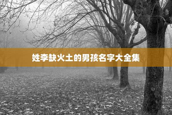 姓李缺火土的男孩名字大全集