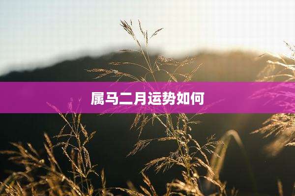属马二月运势如何