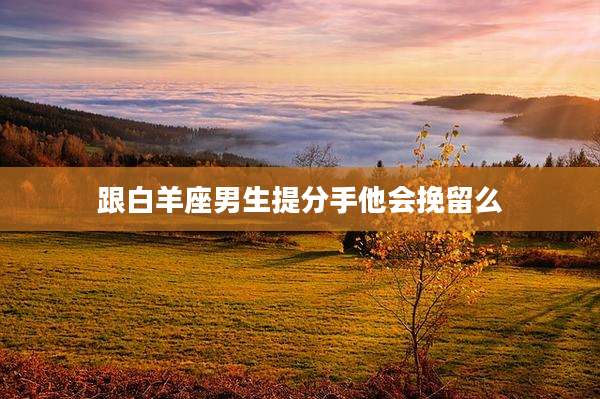 跟白羊座男生提分手他会挽留么
