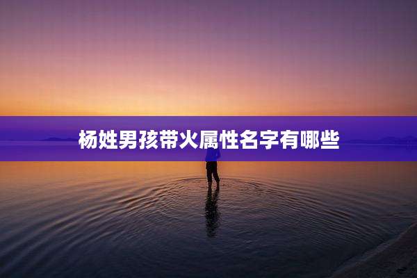 杨姓男孩带火属性名字有哪些