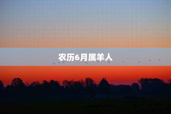 农历6月属羊人
