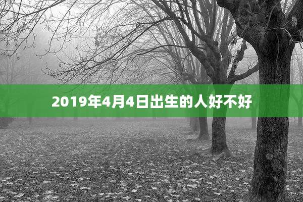 2019年4月4日出生的人好不好