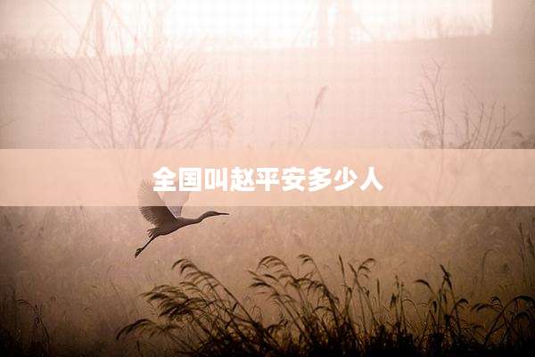 全国叫赵平安多少人
