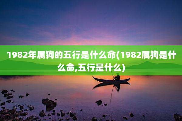1982年属狗的五行是什么命(1982属狗是什么命,五行是什么)