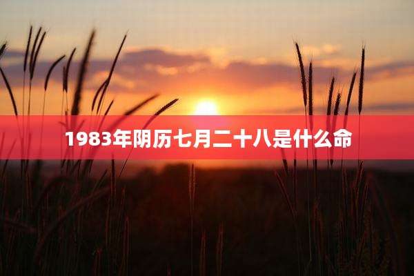 1983年阴历七月二十八是什么命