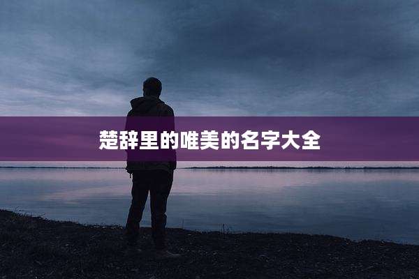 楚辞里的唯美的名字大全