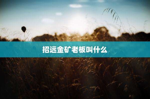 招远金矿老板叫什么