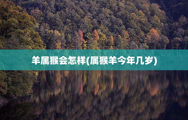 羊属猴会怎样(属猴羊今年几岁)