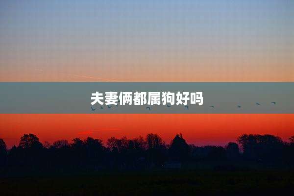 夫妻俩都属狗好吗
