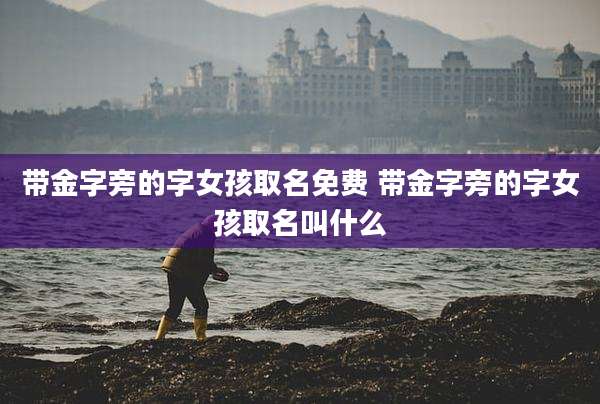 带金字旁的字女孩取名免费 带金字旁的字女孩取名叫什么