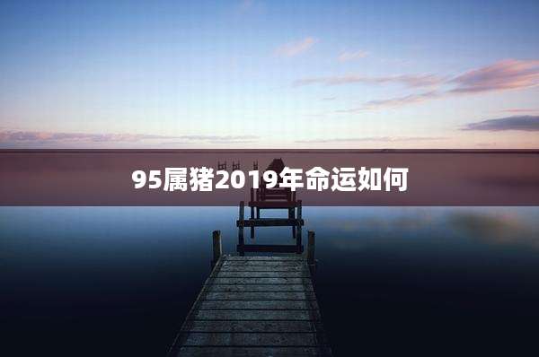 95属猪2019年命运如何