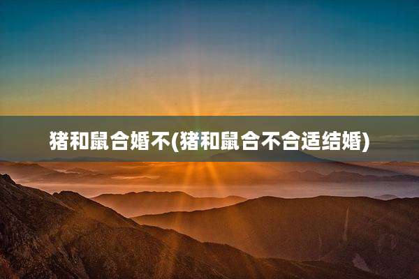 猪和鼠合婚不(猪和鼠合不合适结婚)