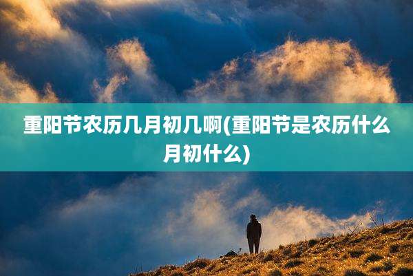 重阳节农历几月初几啊(重阳节是农历什么月初什么)