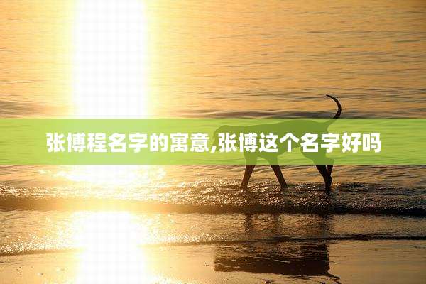 张博程名字的寓意,张博这个名字好吗