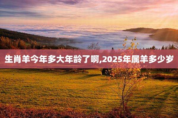 生肖羊今年多大年龄了啊,2025年属羊多少岁