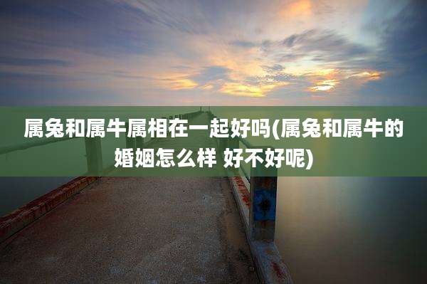 属兔和属牛属相在一起好吗(属兔和属牛的婚姻怎么样 好不好呢)